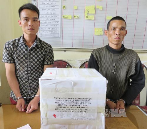 Sơn La: Bắt quả tang 2 đối tượng vận chuyển 16 kg nhựa thuốc phiện 